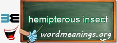 WordMeaning blackboard for hemipterous insect